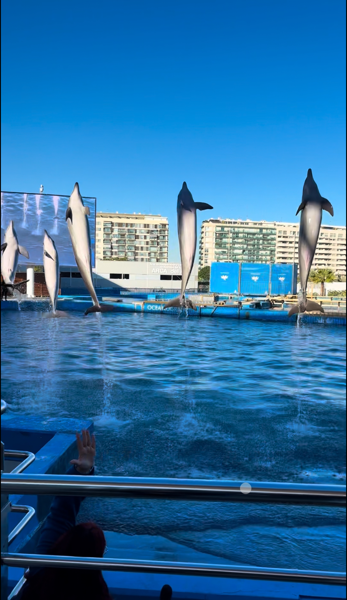 Unterwasserwelt im Oceanogràfic Valencia