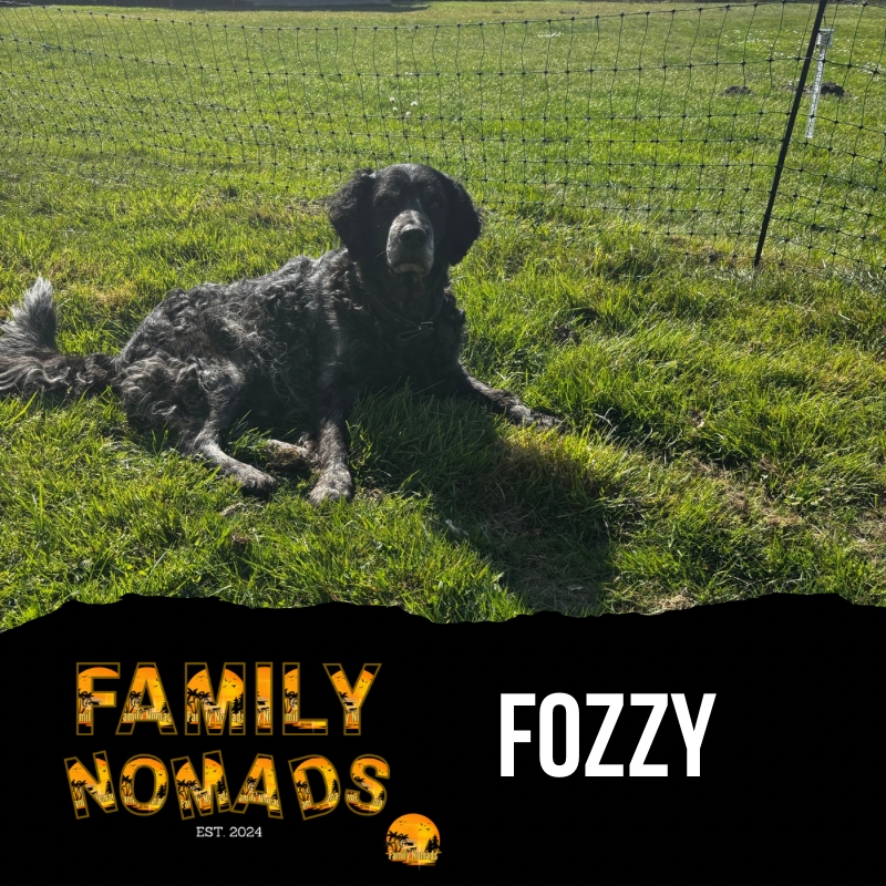 Fozzy – Family Nomads®