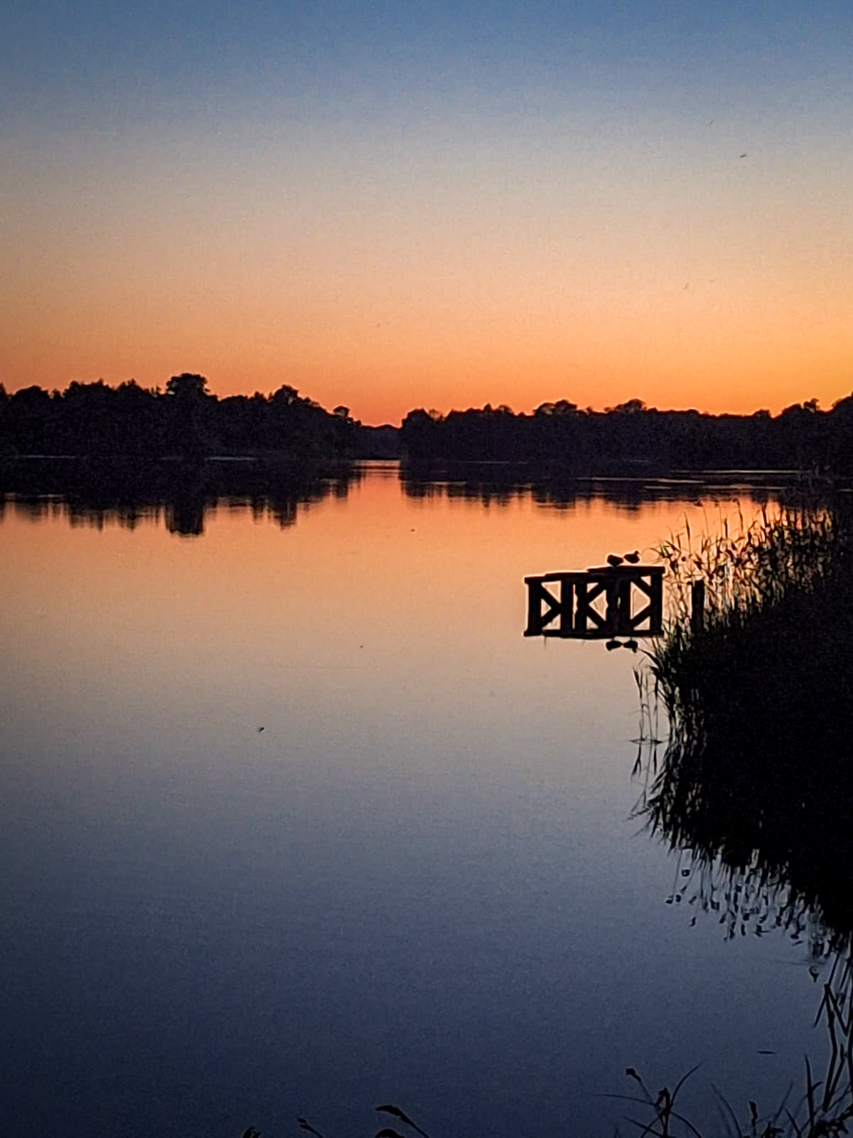 Abenddämmerung vom Campingplatz aus